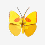Wall Art Butterflies | B7