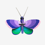 Wall Art Butterflies | B7