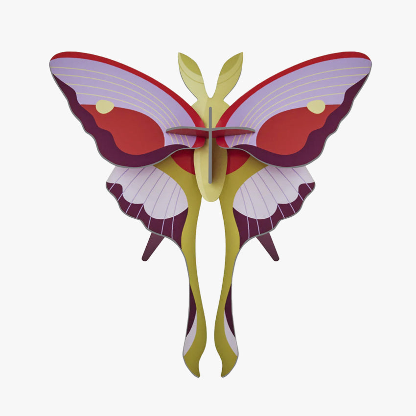 Wall Art Butterflies | B7