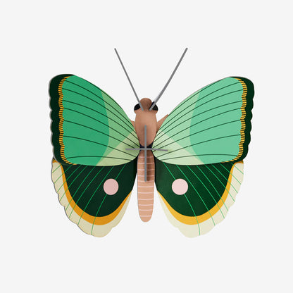 Wall Art Butterflies | B7