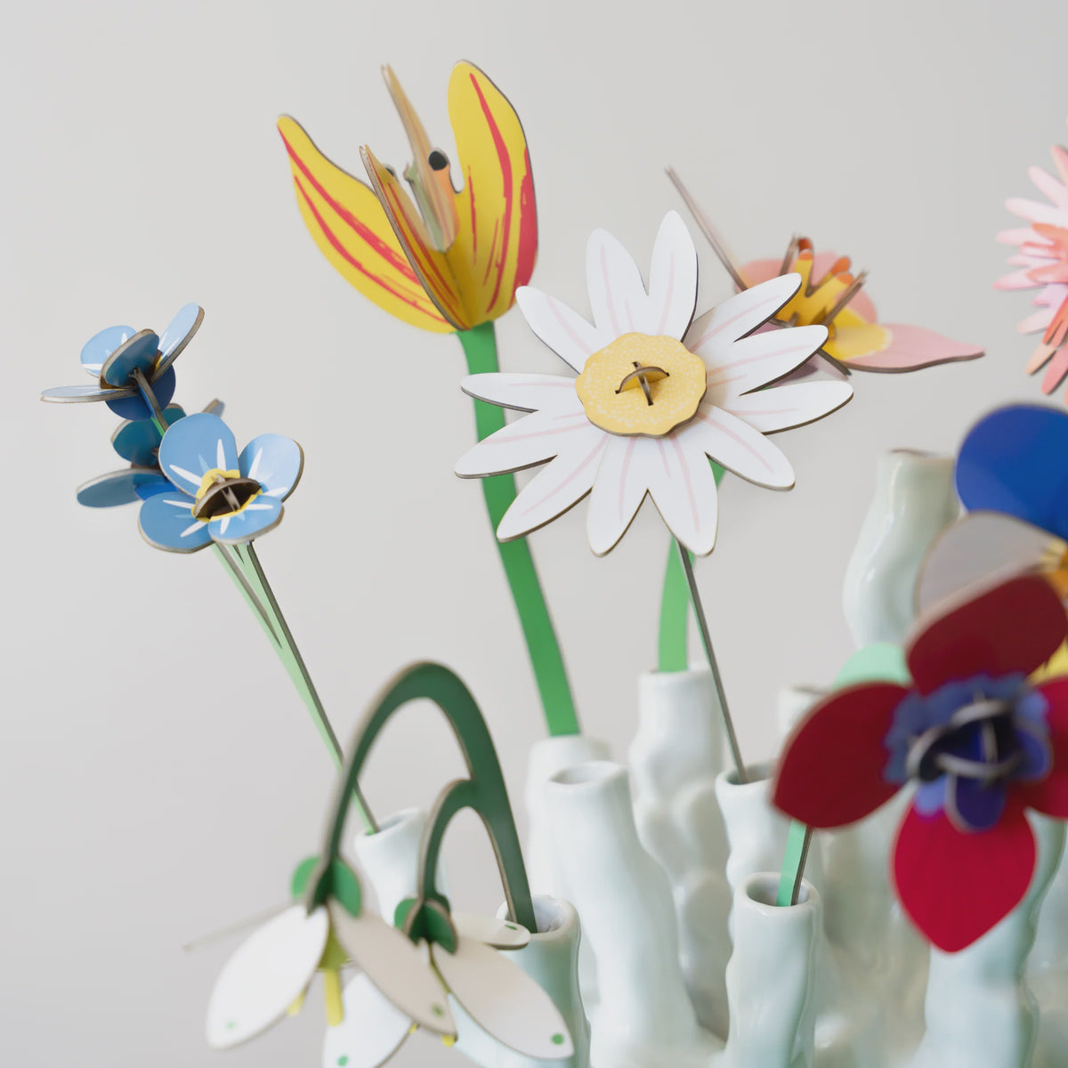 Everlasting Flowers