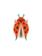 Wall Art Beetles | B7