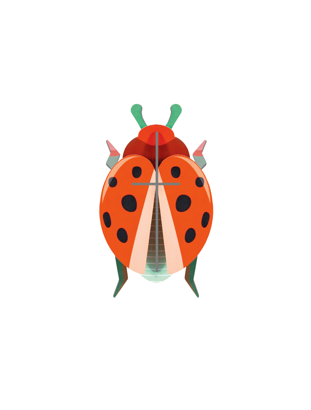 Wall Art Beetles | B7