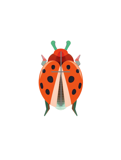 Wall Art Beetles | B7