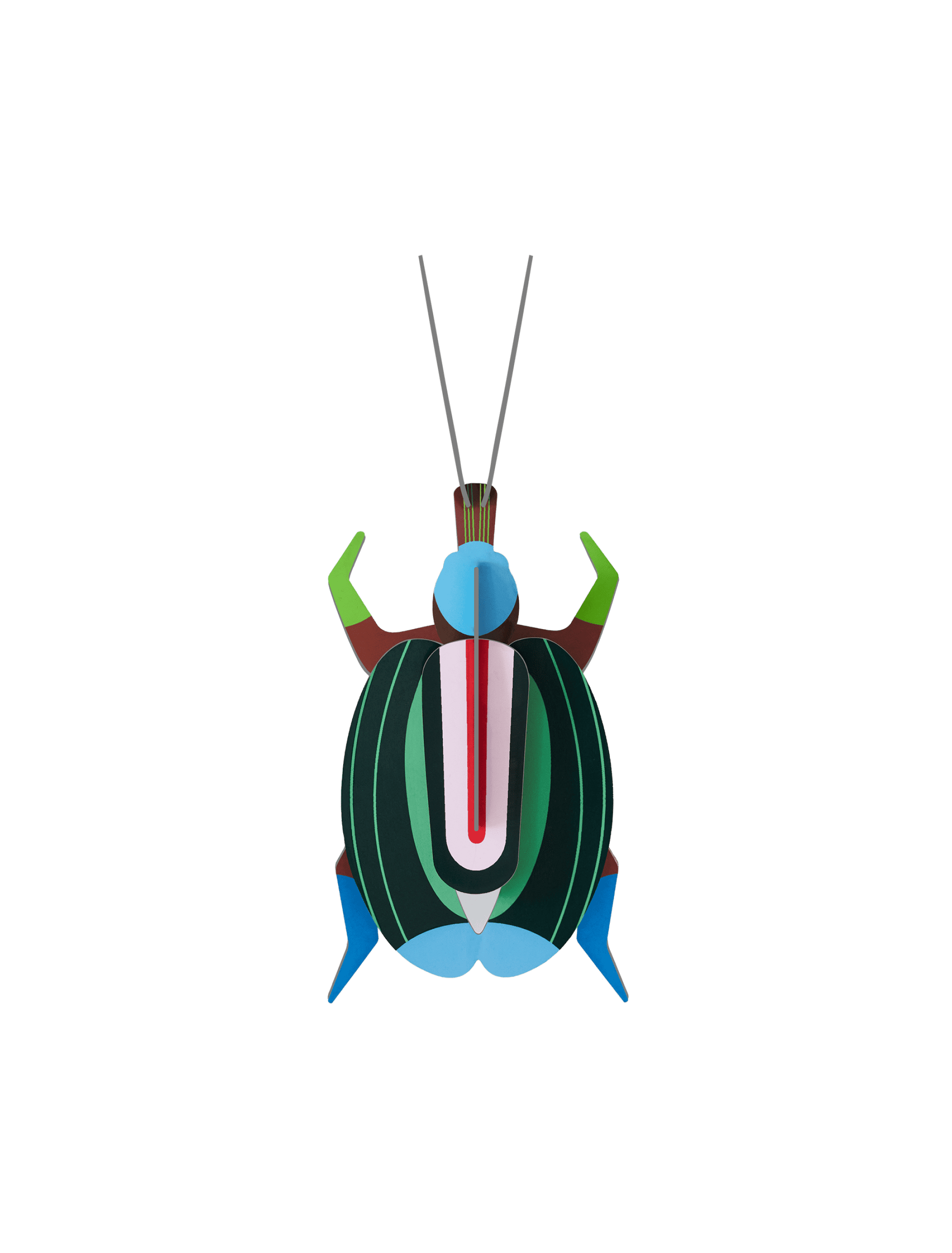 Wall Art Beetles | B7