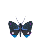 Wall Art Butterflies | B7
