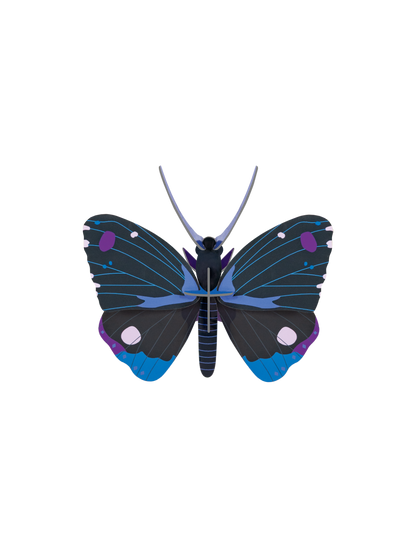Wall Art Butterflies | B7