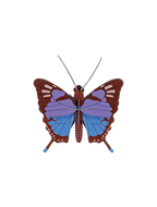 Wall Art Butterflies | B7