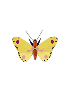 Wall Art Butterflies | B7