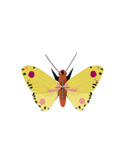Wall Art Butterflies | B7