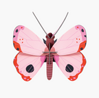 Wall Art Butterflies | B7