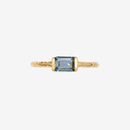 Pia Polished Ring