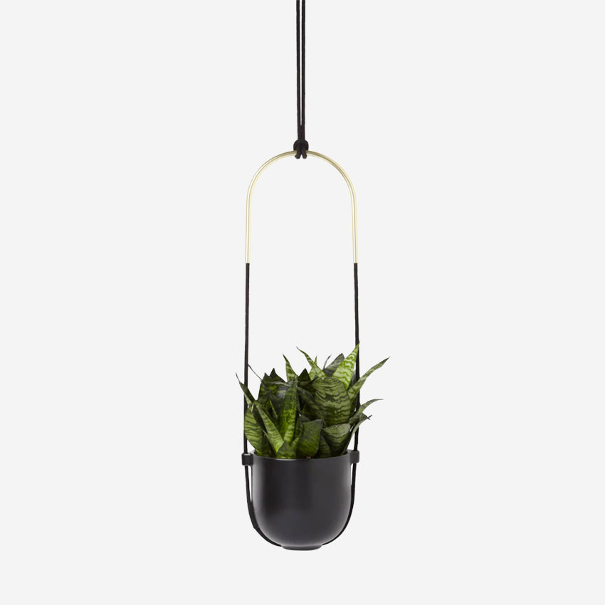 Bolo Hanging Planter
