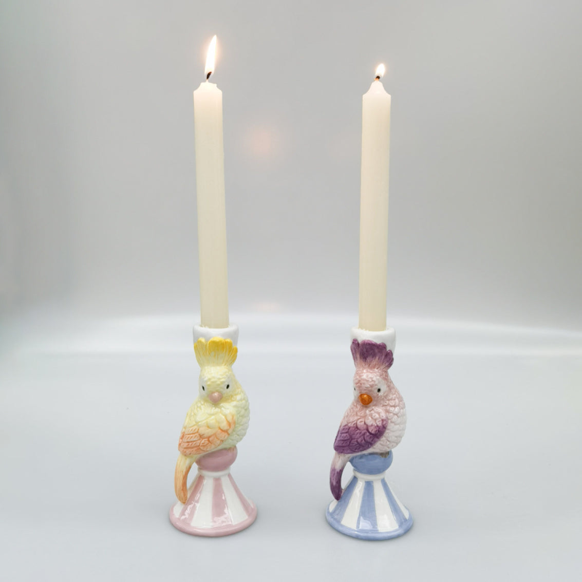 Perdy Parrot Candle Stick