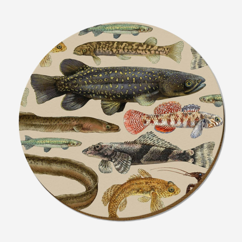 Placemat | NZ Freshwater Fish