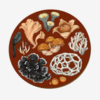 The Wolfkamp & Stone NZ Fungi Placemat in Phelledon