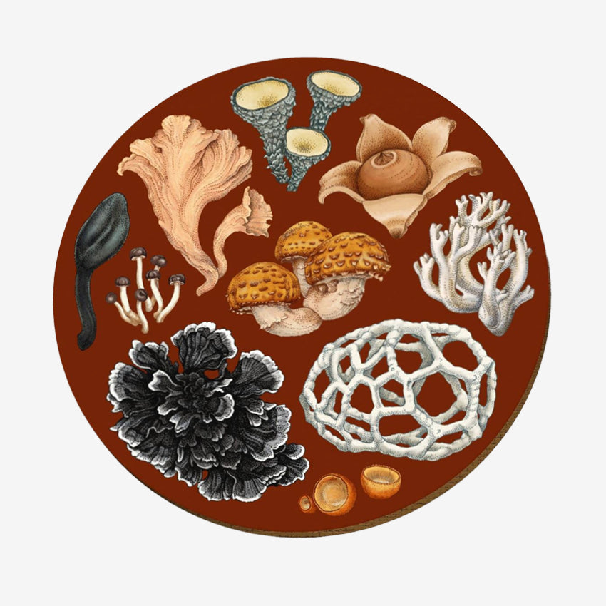The Wolfkamp & Stone NZ Fungi Placemat in Phelledon