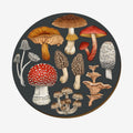 The Wolfkamp & Stone NZ Fungi Placemat in Morchella