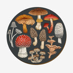The Wolfkamp & Stone NZ Fungi Placemat in Morchella