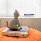 Bookend | Tuxedo Cat Grey