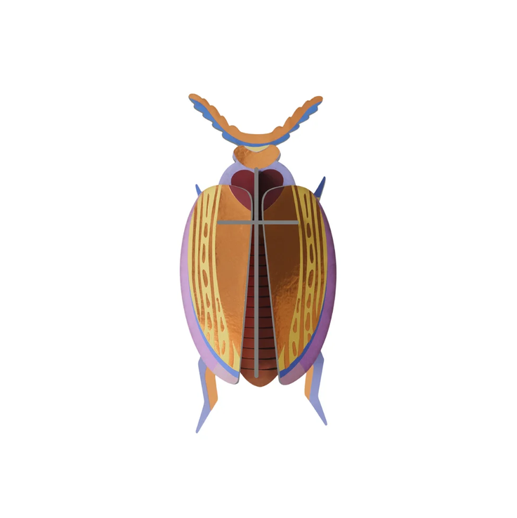Wall Art Beetles | B6