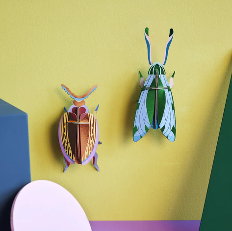Wall Art Beetles | B6