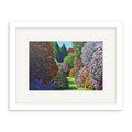 Framed Print | Forest Hill