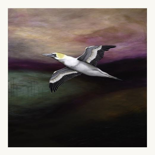 Soar Free | Art Print | Framed