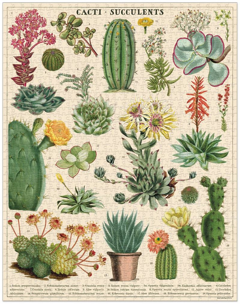 Vintage Puzzle | Cacti & Succulents