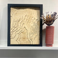 Art Map | Treble Cone 42 x 52