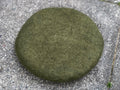 Hand Felted Tush Cush