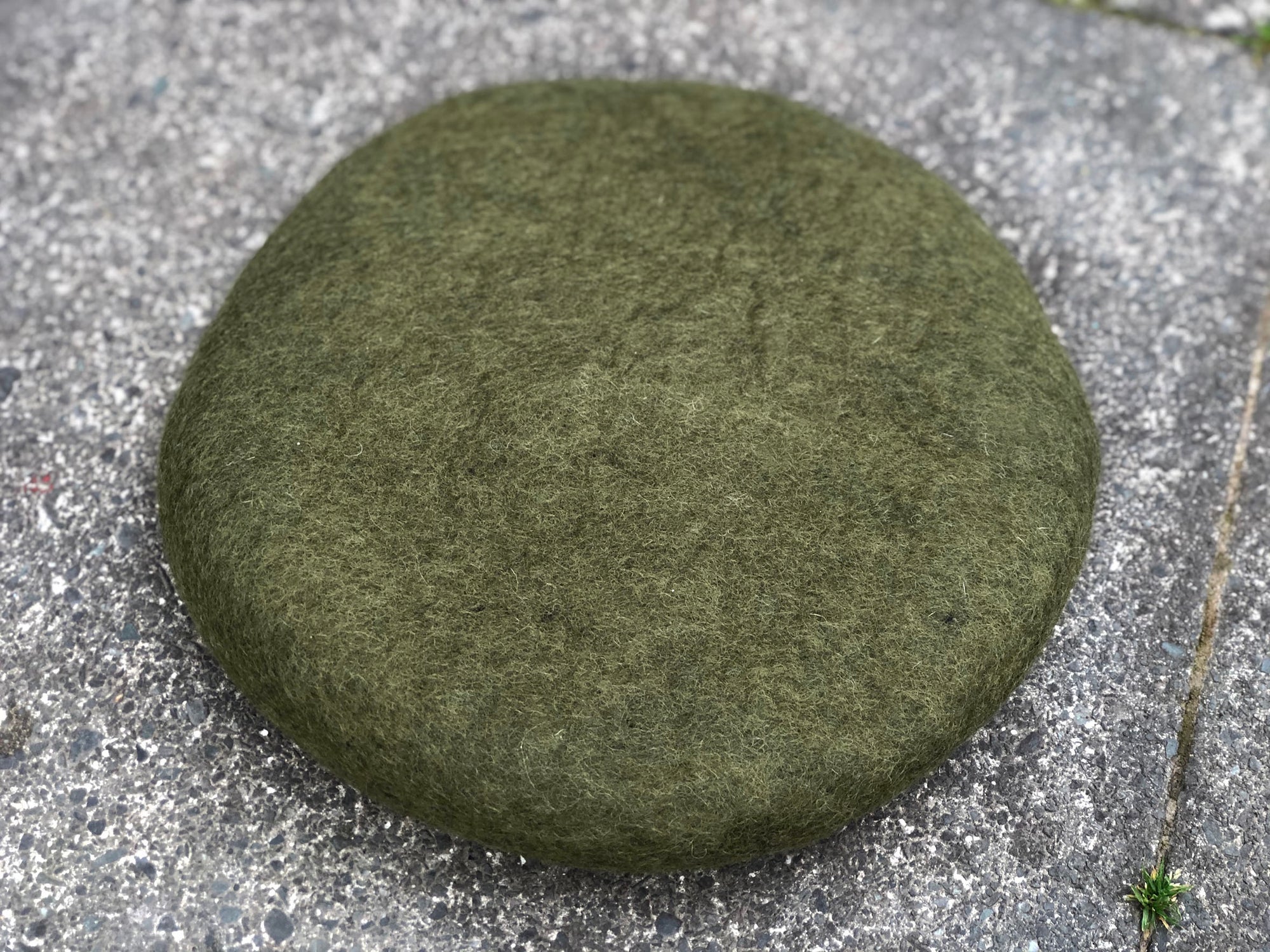 Hand Felted Tush Cush