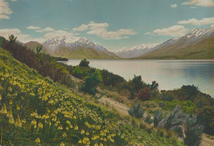 Lake Ohau, Waitaki Country 1940s Print