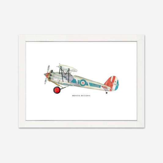 Bristol Bulldog Aeroplane | Framed