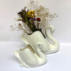 Swan | White