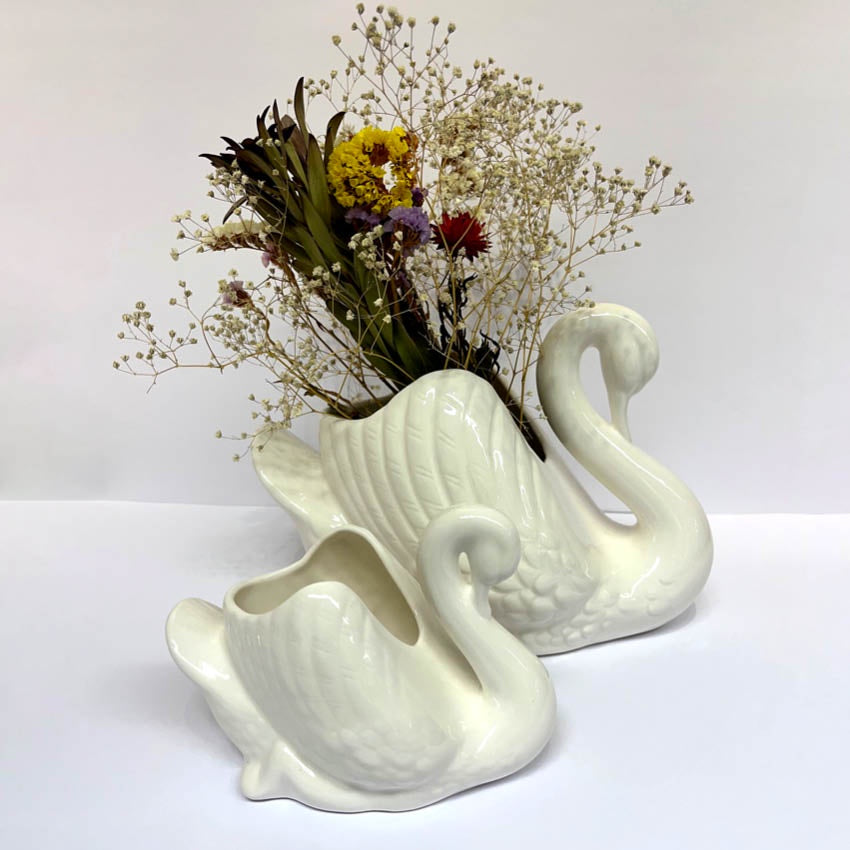 Swan | White