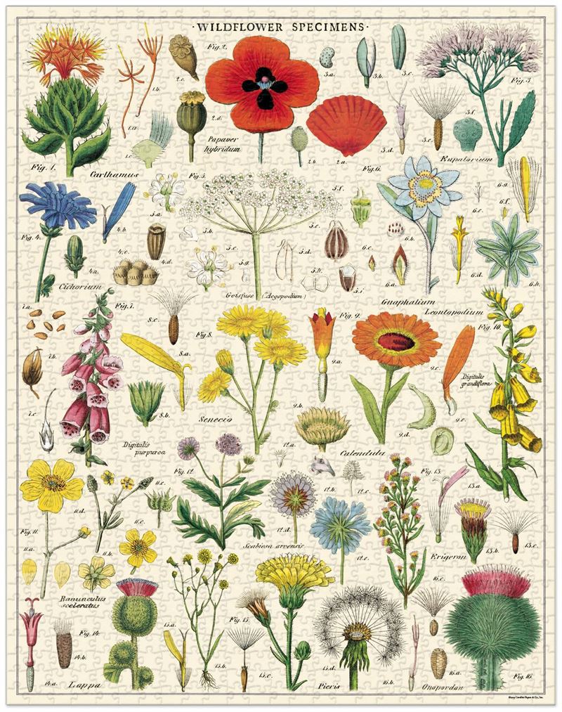 Vintage Puzzle | Wildflowers