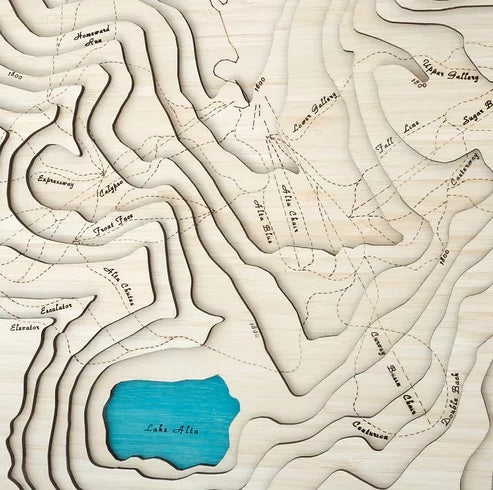 Art Map | The Remarkables  42 x 52