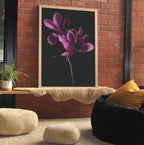 Magnolia Velvet Print A3