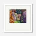Framed Print | Cambridge