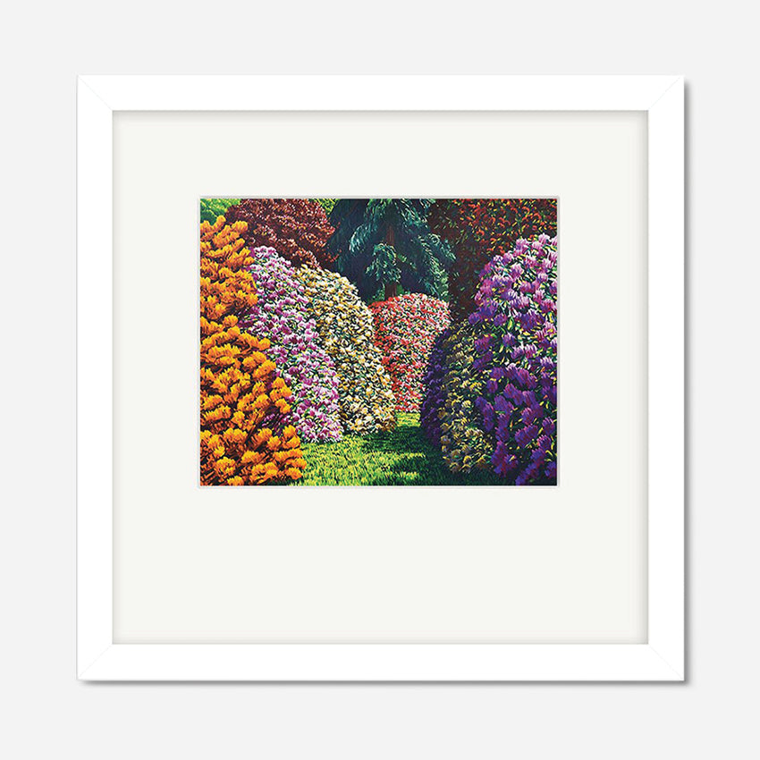 Framed Print | Cambridge