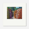 Framed Print | Waikino
