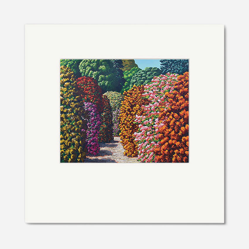 Framed Print | Waikino
