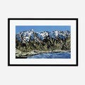 The Remarkables #4 | Framed | 2/65