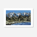 The Remarkables | Unframed | 7/65