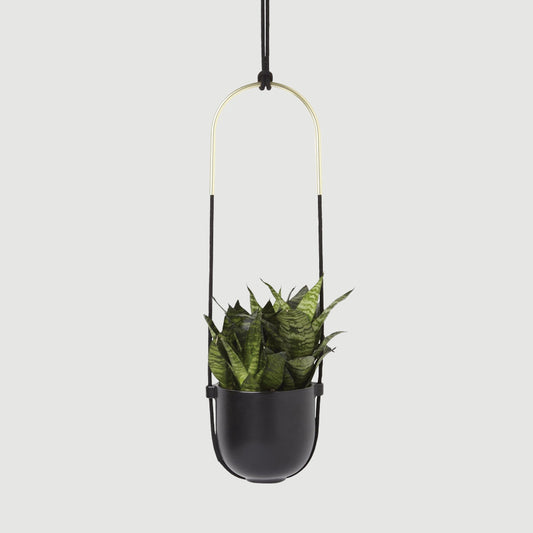 Umbra Bolo Hanging Planter in Black with plant in it