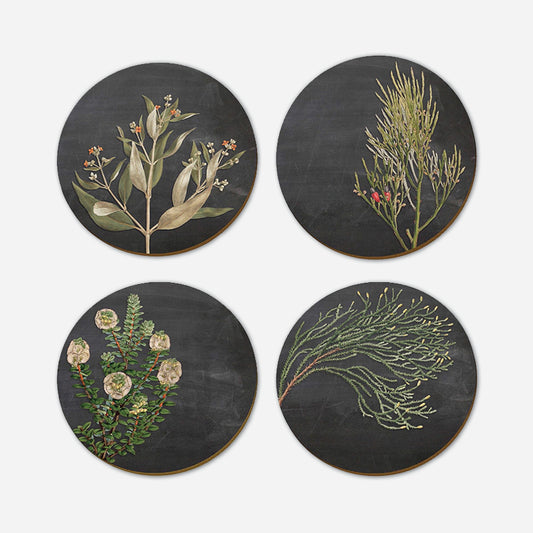 Placemat | Botanical Chalk Series